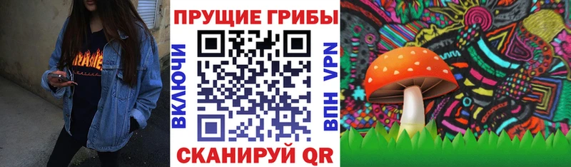 blacksprut как зайти  нарко площадка официальный сайт  Галлюциногенные грибы Cubensis  Фрязино 